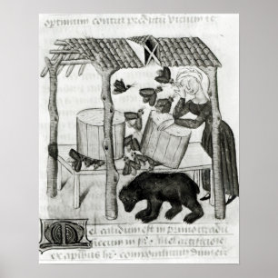 Honing verzamelen poster