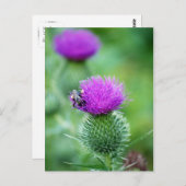 Honingbij en Thistle Briefkaart (Voorkant / Achterkant)