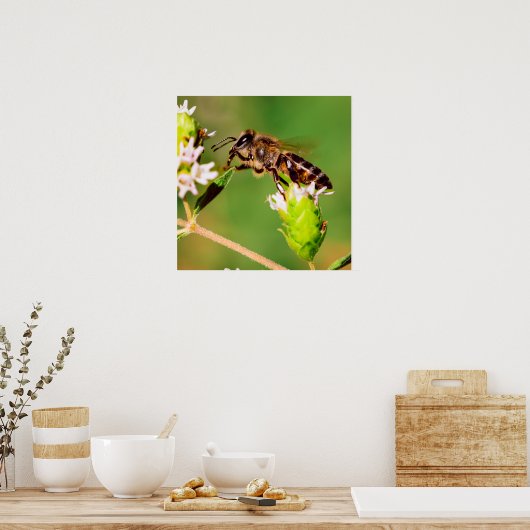 Honingbij in actie poster (Keuken)