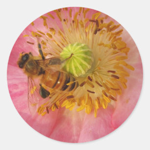 Honingbij in de papaver ronde sticker