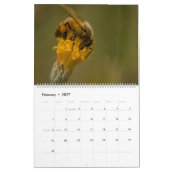 Honingbij Kalender (Feb 2027)