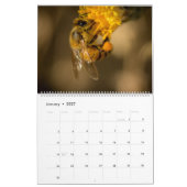 Honingbij Kalender (Jan 2027)