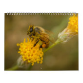 Honingbij Kalender (Hoes)