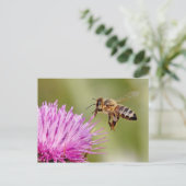 Honingbij landt op een melkdichte bloem briefkaart (Staand voorkant)