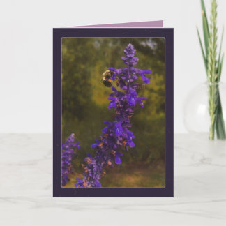 honingbij & lavendel kaart
