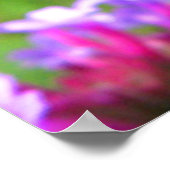 Honingbij op Verbena Poster (Hoek)