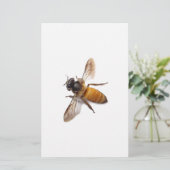 Honingbijen Briefpapier (Staand voorkant)