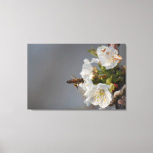 Honingbijen Canvas Afdruk