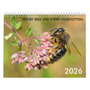 Honingbijen en andere kalender van hymenoptera