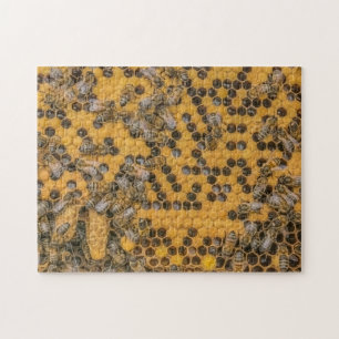 Honingbijen en koningin-cellen in bijenkorf Bijen Legpuzzel