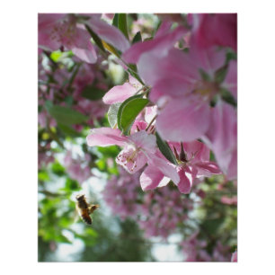 Honingbijen en krab Apple Blossom Perfect Poster