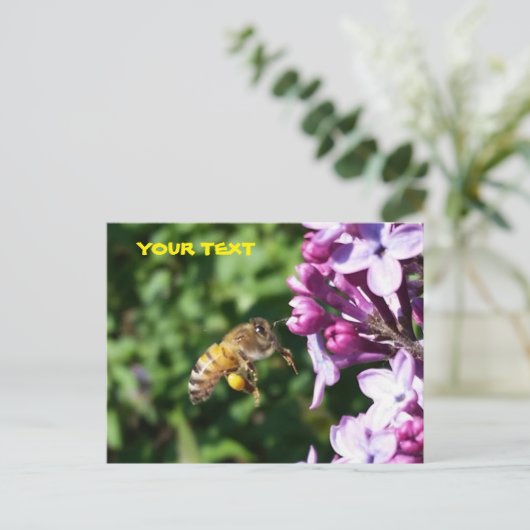 Honingbijen houden van Lila polen Briefkaart (Staand voorkant)