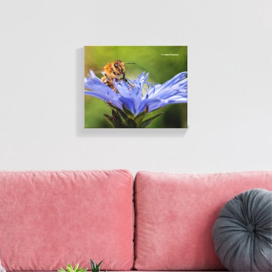 Honingbijen op de bloeiende radicchio canvas afdruk (Insitu (Woonkamer))
