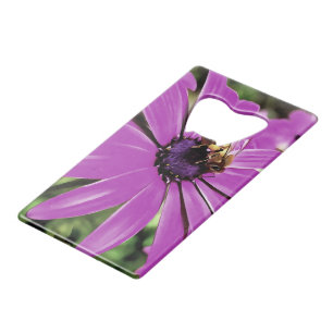 Honingbijen op een Paarse Afrikaanse Daisy Art Kredietkaart Flessenopener