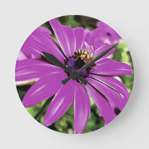 Honingbijen op een Paarse Afrikaanse Daisy Art Ronde Klok