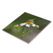 Honingbijen op witte bloemtegel tegeltje (Zijkant)