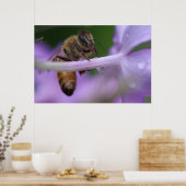 Honingbijen Poster (Keuken)