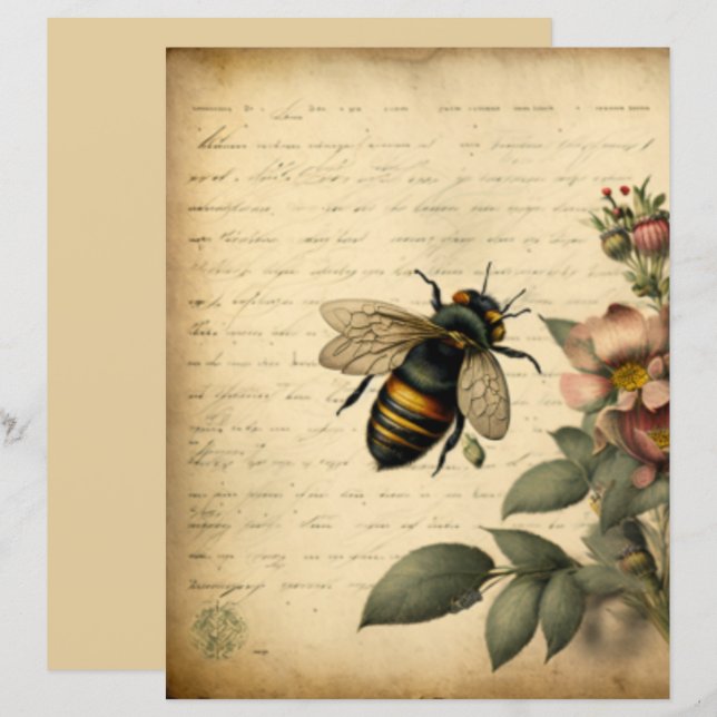  honingbijenbloem (Voorkant / Achterkant)