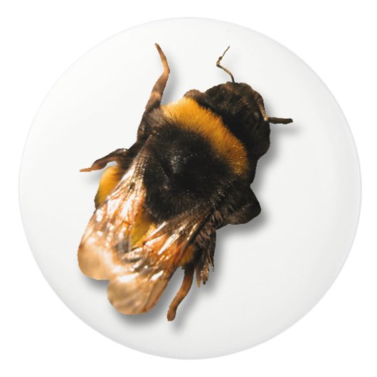 Honingbijenknop Keramische Knop (Voorkant)