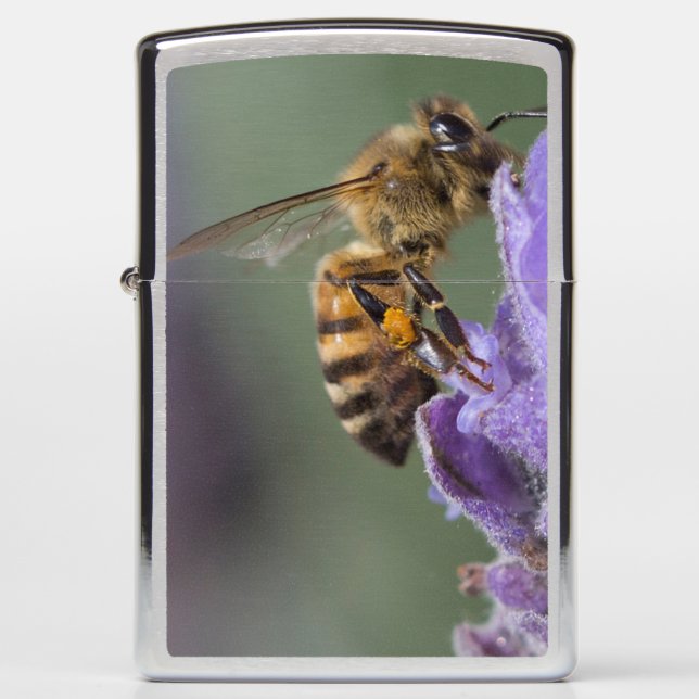 Honingbijenlavender ventilator Zippo Lighter (Voorkant)