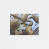 Honingpaddenstoelen, Apiata, Armillaria, opyenok Post-it® Notes (Voorkant)