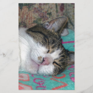 Honingslaap Briefpapier