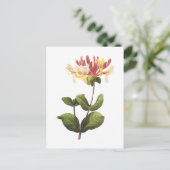 honingzucht (Lonicera sp.) van Redouté Briefkaart (Staand voorkant)
