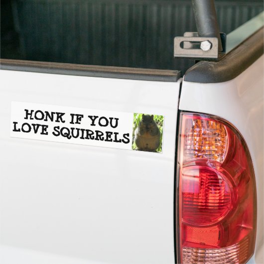 HONK ALS U VAN SQUIRRELS HOUDT BUMPERSTICKER (Op Truck)