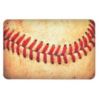  honkbal