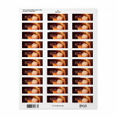 Honkbalhandschoen Mailing Labels (Full Sheet)