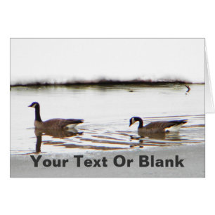 Honkers - Canada Gese