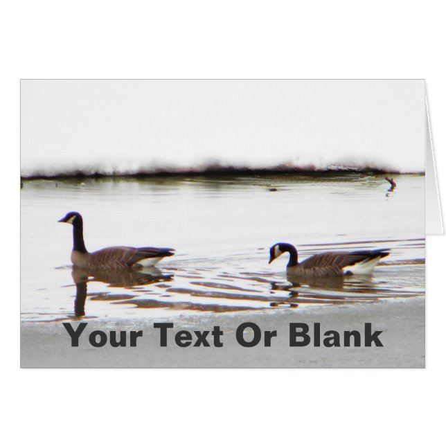 Honkers - Canada Gese (Voorkant Horizontaal)