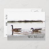 Honkers - Canada Gese Aankondigingskaart (Voorkant / Achterkant)