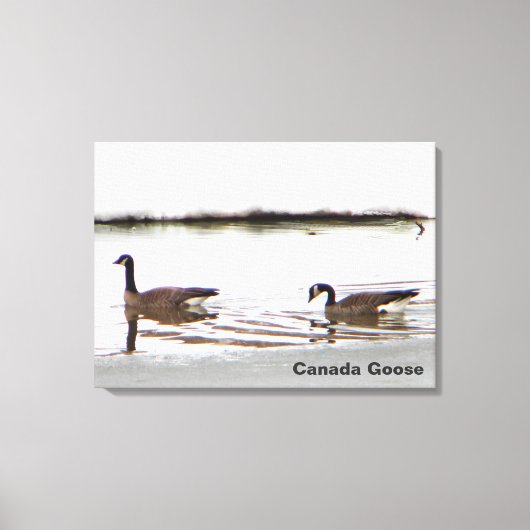 Honkers - Canada Gese Canvas Afdruk (Voorkant)