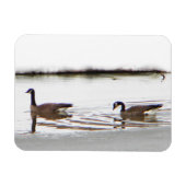 Honkers - Canada Gese Magneet (Horizontaal)