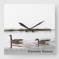 Honkers - Canada Gese