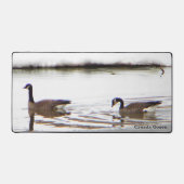 Honkers - Oies du Canada (Recto)