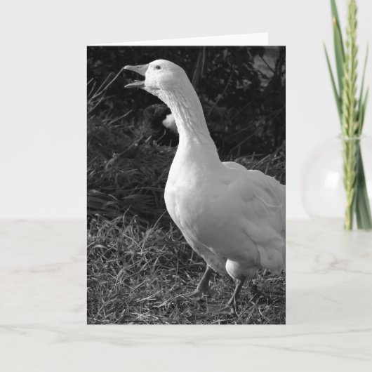 Honking Sebbie Kaart (Voorkant)