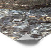 HONNÊTETÉ Citation Inspirante Poster de Jefferson (Coin)