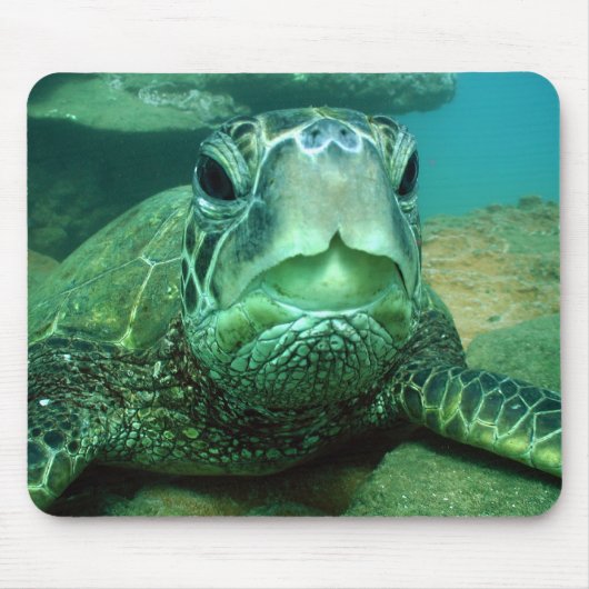 hono muismat (Voorkant)