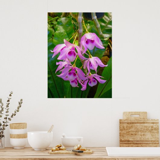 Honohono Orchids en Ferns Poster (Keuken)