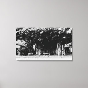 Honolulu, Hawaii - De worstboom Canvas Afdruk