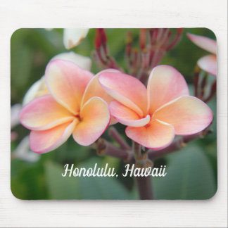 Honolulu Hawaii Plumeria Muismat