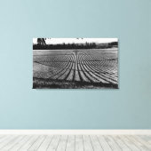 Honolulu, Hawaii - Uitzicht van ananasvelden Canvas Afdruk (Insitu (Houten vloer))