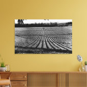 Honolulu, Hawaii - Uitzicht van ananasvelden Canvas Afdruk (Insitu (Woonkamer))