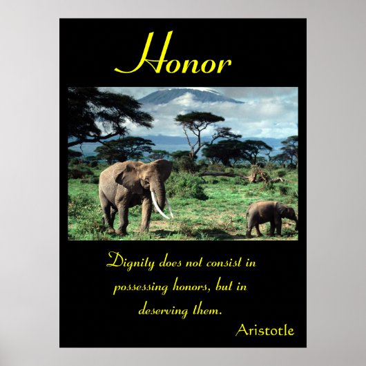Honor Posters animal 48 (Devant)