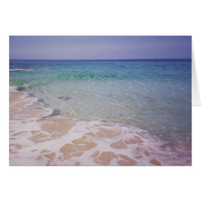 Honu à La a'Loa Beach (Devant horizontal)