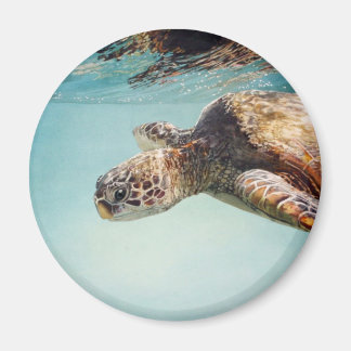 Honu door Marilyn Draag Magneet