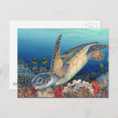 Honu (Groene Zee schildpad) Briefkaart (Voorkant / Achterkant)