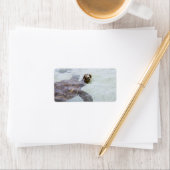 Honu Hawaiian Zee Turtle - Hawaii Turtles Etiket (Insitu)